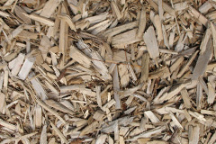 biomass boilers Lelley